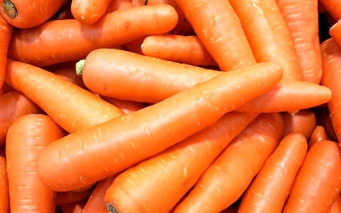 Können Pferde Jeden Tag Ganze Karotten Essen?